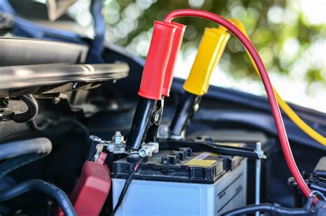 Can You Charge a Car Battery While the Car Is Running? And Why Do Birds Suddenly Appear Every Time You Park?