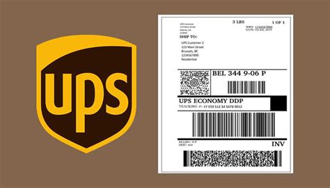 Does UPS Print Return Labels for Free: A Journey Through the Maze of Modern Logistics